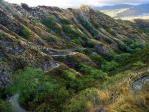 A trail to Diamond Head crater viewpoint on Oahu, Hawaii